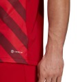 Koszulka męska adidas Entrada 22 Graphic Jersey czerwono-bordowa