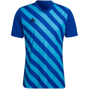 Koszulka męska adidas Entrada 22 Graphic Jersey niebiesko-błękitna