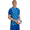 Koszulka męska adidas Entrada 22 Graphic Jersey niebiesko-błękitna