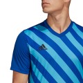 Koszulka męska adidas Entrada 22 Graphic Jersey niebiesko-błękitna