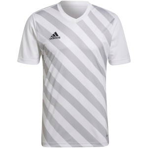 Koszulka męska adidas Entrada 22 Graphic Jersey biało-szara