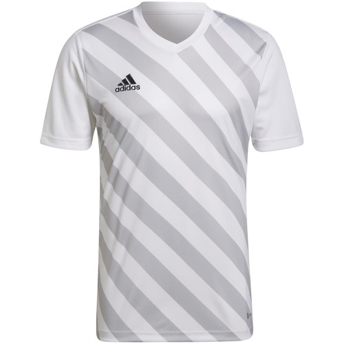 Koszulka męska adidas Entrada 22 Graphic Jersey biało-szara