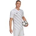 Koszulka męska adidas Entrada 22 Graphic Jersey biało-szara