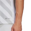 Koszulka męska adidas Entrada 22 Graphic Jersey biało-szara