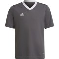 Koszulka dla dzieci adidas Entrada 22 Jsy szara