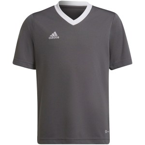 Koszulka dla dzieci adidas Entrada 22 Jsy szara