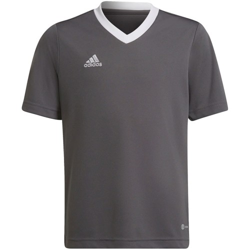 Koszulka dla dzieci adidas Entrada 22 Jsy szara