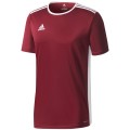 Koszulka dla dzieci adidas Entrada 18 Jersey JUNIOR bordowa CE9564
