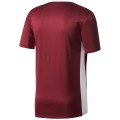 Koszulka dla dzieci adidas Entrada 18 Jersey JUNIOR bordowa CE9564