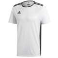 Koszulka dla dzieci adidas Entrada 18 Jersey JUNIOR biała CF1044