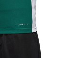 Koszulka dla dzieci adidas Entrada 18 Jersey JUNIOR zielona CE9563