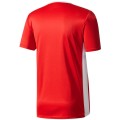Koszulka dla dzieci adidas Entrada 18 Jersey JUNIOR czerwona CF1050