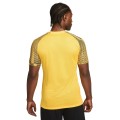 Koszulka Nike Dri-FIT Academy SS żółta DH8031 719