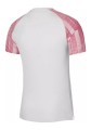 Koszulka Nike Dri-Fit Academy biała SS DH8031-100