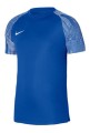 Koszulka Nike Dri-Fit Academy SS DH8031-463