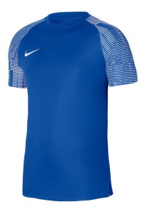 Koszulka Nike Dri-Fit Academy SS DH8031-463