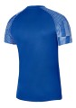 Koszulka Nike Dri-Fit Academy SS DH8031-463