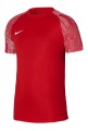 Koszulka Nike Dri-Fit Academy SS DH8031-657