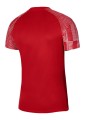 Koszulka Nike Dri-Fit Academy SS DH8031-657