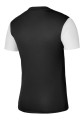 Koszulka Nike Dri-FIT Strike 3 DR0889-011