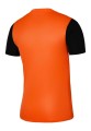 Koszulka Nike Dri-Fit Tiempo Premier 2 DH8035-819