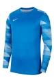 BLUZA BRAMKARSKA NIKE DRY PARK IV LS GK CJ6066-819