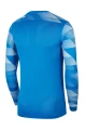BLUZA BRAMKARSKA NIKE DRY PARK IV LS GK CJ6066-819
