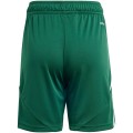 Dziecięcy SPERSONALIZOWANY Zestaw Meczowy Adidas  Tiro 24 Jersey zielony