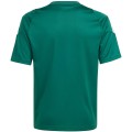 Dziecięcy SPERSONALIZOWANY Zestaw Meczowy Adidas  Tiro 24 Jersey zielony