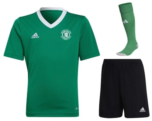 SPERSONALIZOWANY  Zielony Zestaw Meczowy Adidas - AP DEYNA 